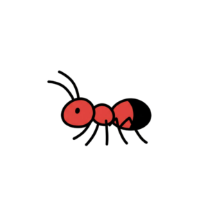 Macht - 2 De mierenkolonie