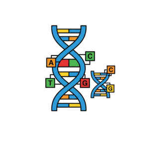 Ontdekkingen - 8 DNA en Genen