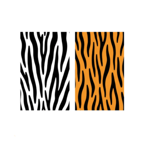 Patronen - 5 Patronen in de Natuur