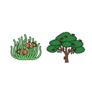 Relaties - 5 Symbiose