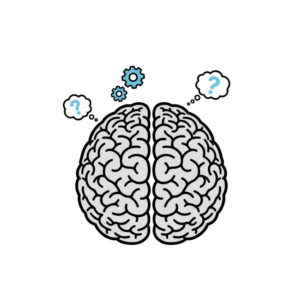 Structuur - 7 Hersenen