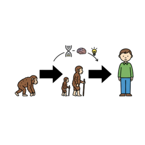 Verandering - 6 Evolutie